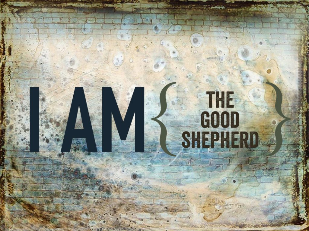 i-am-series_shepherd